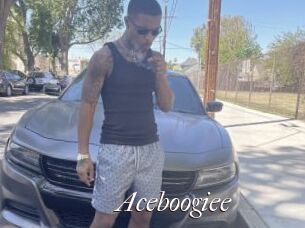 Aceboogiee