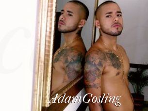 AdamGosling