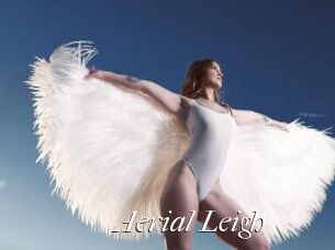 Aerial_Leigh