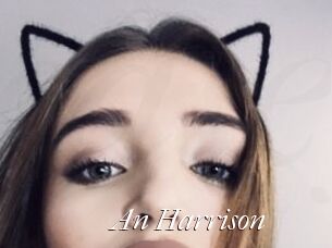 An_Harrison