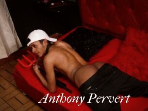 Anthony_Pervert