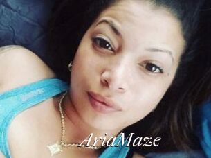 Aria_Maze