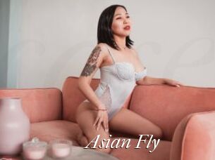 Asian_Fly