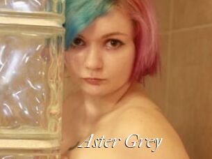 Aster_Grey