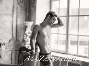 A00ZestyZedan