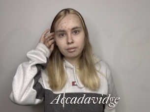 Accadavidge