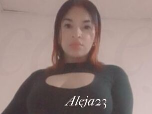 Aleja23