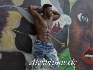 Alexbigmuscle