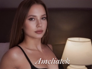 Ameliatek