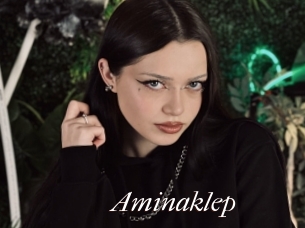 Aminaklep