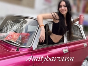 Amityharvison