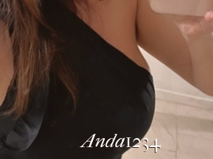 Anda1234