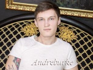 Andreburke