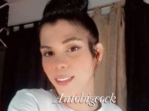 Antobigcock