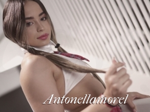 Antonellamorel