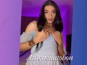 Antonellatobon