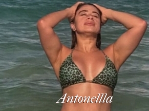 Antonellla