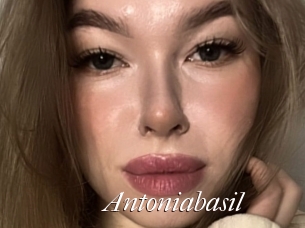 Antoniabasil