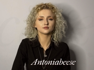 Antoniabeese