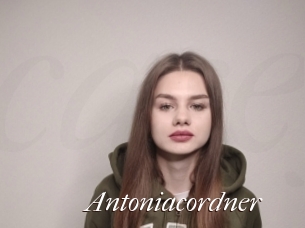 Antoniacordner