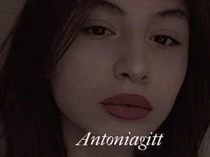 Antoniagitt