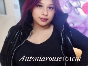 Antoniarouse101cm