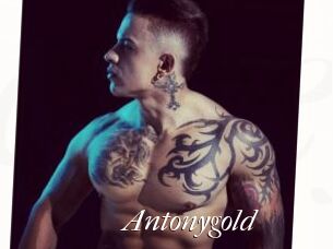 Antonygold