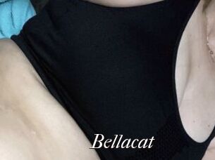 Bella_cat