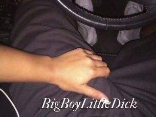 BigBoyLittleDick