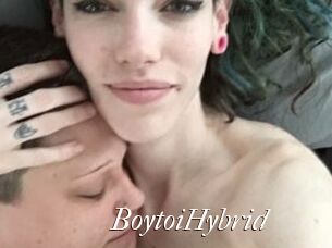 BoytoiHybrid