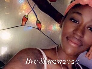 Bre_Shawn2020