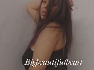 Bigbeautifulbeast