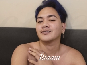 Blaam