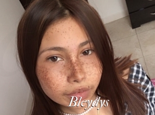 Bleydys