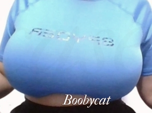 Boobycat