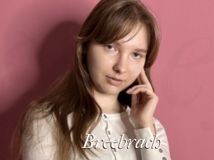 Breebrach