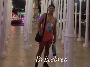 Brixebreo