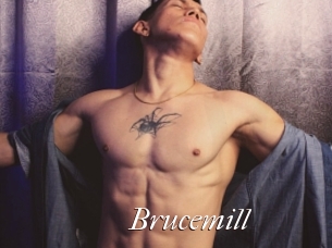 Brucemill