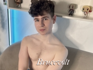 Brucevolt