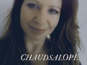 CHAUDSALOPE