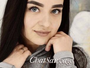 ChatSauvage