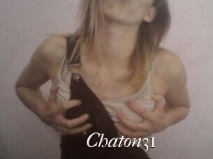 Chaton31