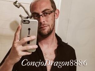 ConejoDragon8886