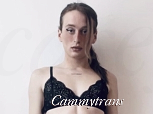 Cammytrans