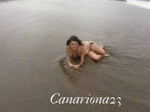 Canariona23