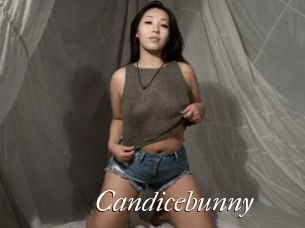 Candicebunny