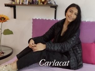 Carlacat