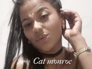 Cat_monroe