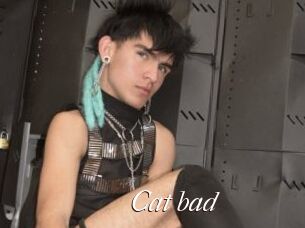 Cat_bad