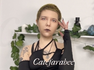 Catefarabee